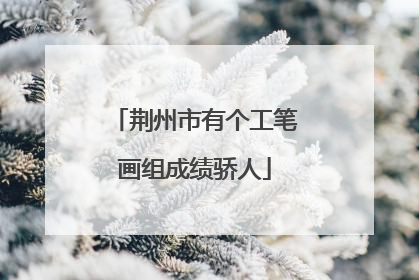 荆州市有个工笔画组成绩骄人