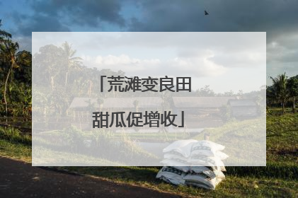 荒滩变良田 甜瓜促增收