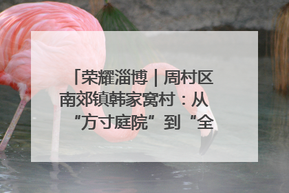 荣耀淄博｜周村区南郊镇韩家窝村：从“方寸庭院”到“全域文明”，乡村振兴的“美学革命”