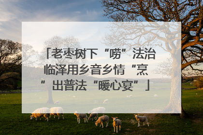 老枣树下“唠”法治 临泽用乡音乡情“烹”出普法“暖心宴”