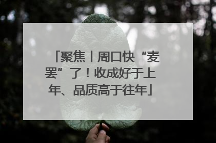 聚焦丨周口快“麦罢”了！收成好于上年、品质高于往年