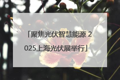 聚焦光伏智慧能源 2025上海光伏展举行
