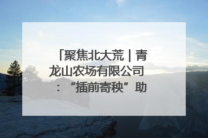 聚焦北大荒｜青龙山农场有限公司：“插前寄秧”助力农业节本增效