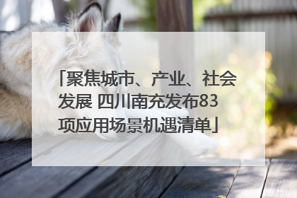 聚焦城市、产业、社会发展 四川南充发布83项应用场景机遇清单