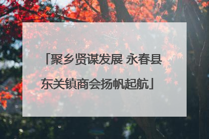 聚乡贤谋发展 永春县东关镇商会扬帆起航