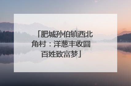 肥城孙伯镇西北角村：洋葱丰收圆百姓致富梦