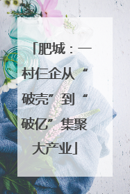 肥城：一村仨企从“破壳”到“破亿”集聚大产业