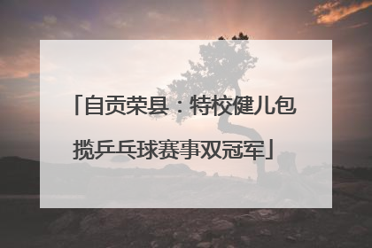 自贡荣县：特校健儿包揽乒乓球赛事双冠军