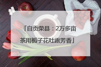 自贡荣县：2万多亩茶用栀子花吐露芳香