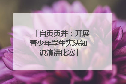 自贡贡井：开展青少年学生宪法知识演讲比赛