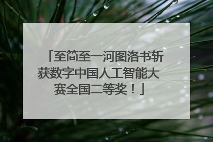 至简至一河图洛书斩获数字中国人工智能大赛全国二等奖！