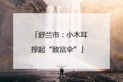 舒兰市：小木耳撑起“致富伞”
