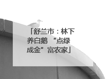 舒兰市：林下养白鹅 “点绿成金”富农家