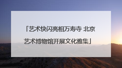 艺术快闪亮相万寿寺 北京艺术博物馆开展文化雅集