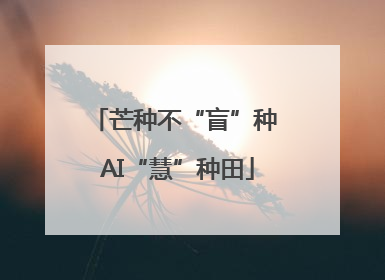 芒种不“盲”种 AI“慧”种田