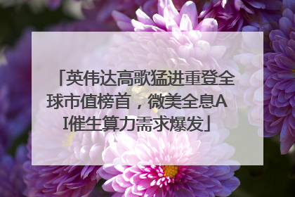 英伟达高歌猛进重登全球市值榜首，微美全息AI催生算力需求爆发