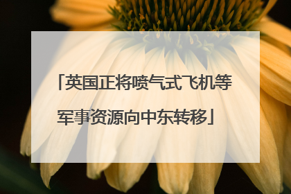 英国正将喷气式飞机等军事资源向中东转移