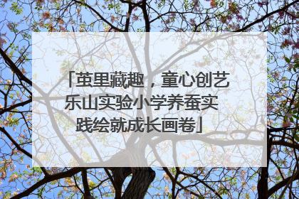 茧里藏趣，童心创艺 乐山实验小学养蚕实践绘就成长画卷