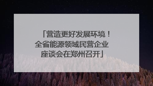 营造更好发展环境！全省能源领域民营企业座谈会在郑州召开