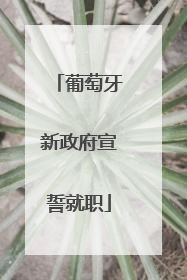 葡萄牙新政府宣誓就职