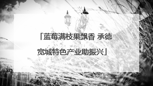 蓝莓满枝果飘香 承德宽城特色产业助振兴