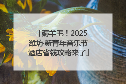 薅羊毛！2025潍坊·新青年音乐节酒店省钱攻略来了