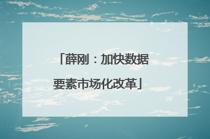 薛刚：加快数据要素市场化改革