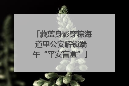 藏蓝身影穿粽海 道里公安解锁端午“平安盲盒”