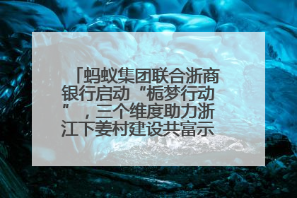 蚂蚁集团联合浙商银行启动“栀梦行动”，三个维度助力浙江下姜村建设共富示范区示范点