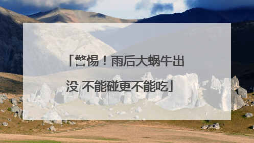 警惕！雨后大蜗牛出没 不能碰更不能吃