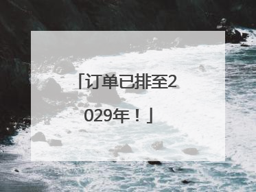 订单已排至2029年！