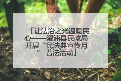 让法治之光温暖民心——溆浦县民政局开展“民法典宣传月” 普法活动