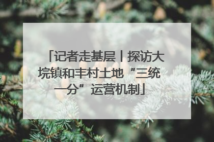 记者走基层丨探访大垸镇和丰村土地“三统一分”运营机制