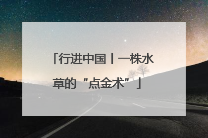 行进中国丨一株水草的“点金术”