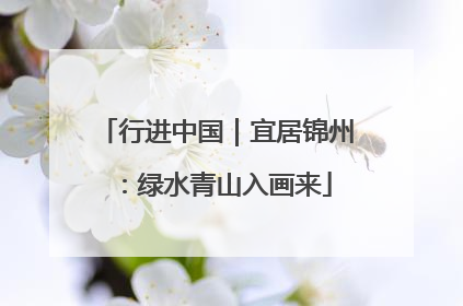 行进中国｜宜居锦州：绿水青山入画来