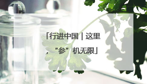 行进中国｜这里，“参”机无限