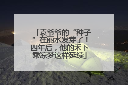 袁爷爷的“种子”在丽水发芽了！四年后，他的禾下乘凉梦这样延续