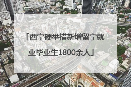 西宁硬举措新增留宁就业毕业生1800余人