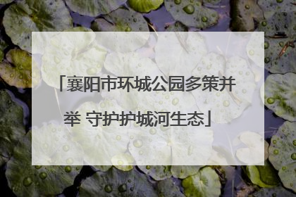 襄阳市环城公园多策并举 守护护城河生态