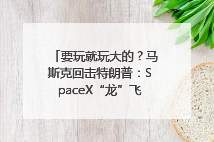 要玩就玩大的？马斯克回击特朗普：SpaceX“龙”飞船将立即退役！
