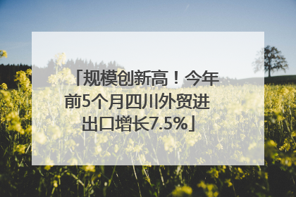 规模创新高！今年前5个月四川外贸进出口增长7.5%