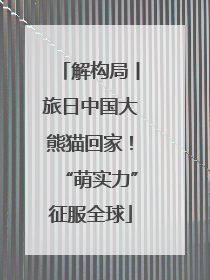 解构局丨旅日中国大熊猫回家！“萌实力”征服全球