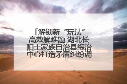解锁新“玩法” 高效解难题 湖北长阳土家族自治县综治中心打造矛盾纠纷调处“终点站”