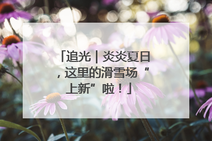 追光｜炎炎夏日，这里的滑雪场“上新”啦！