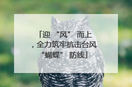 迎 “风” 而上，全力筑牢抗击台风 “蝴蝶” 防线