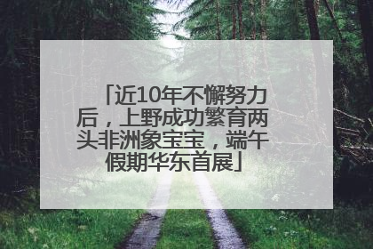 近10年不懈努力后，上野成功繁育两头非洲象宝宝，端午假期华东首展