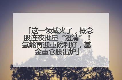 这一领域火了，概念股连夜批量“澄清”！氢能再迎重磅利好，基金重仓股出炉