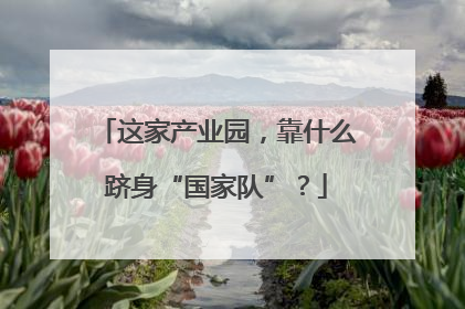 这家产业园，靠什么跻身“国家队”？