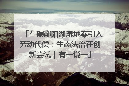 车碾鄱阳湖湿地案引入劳动代偿：生态法治在创新尝试｜有一说一