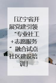 辽宁省开展党建引领“专业社工+志愿服务”融合试点社区建设培训